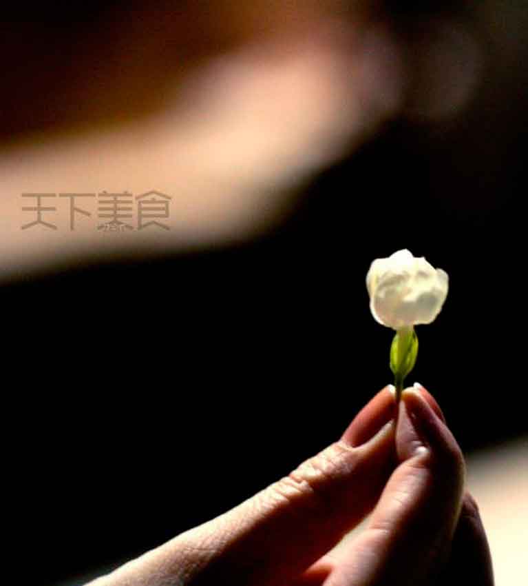Вкратце о жасминовом чае (茉莉花茶 – Моли Хуа Ча)